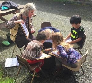 Phenology Curriculum